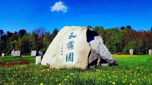 拯救穆尔小马