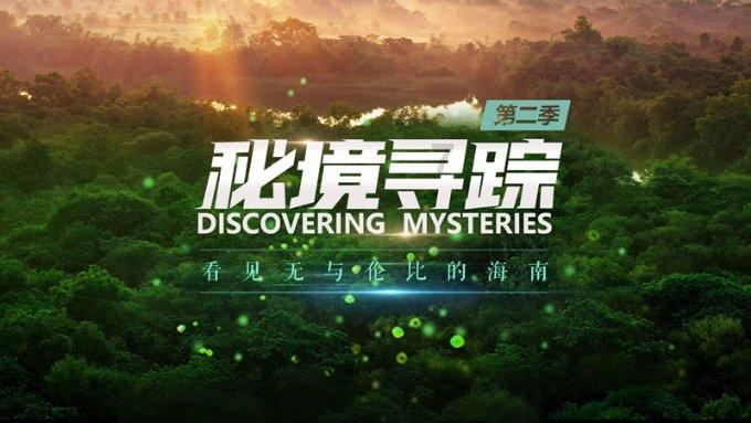 救援时尚的女孩