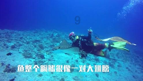 在城市更新中留住老味道