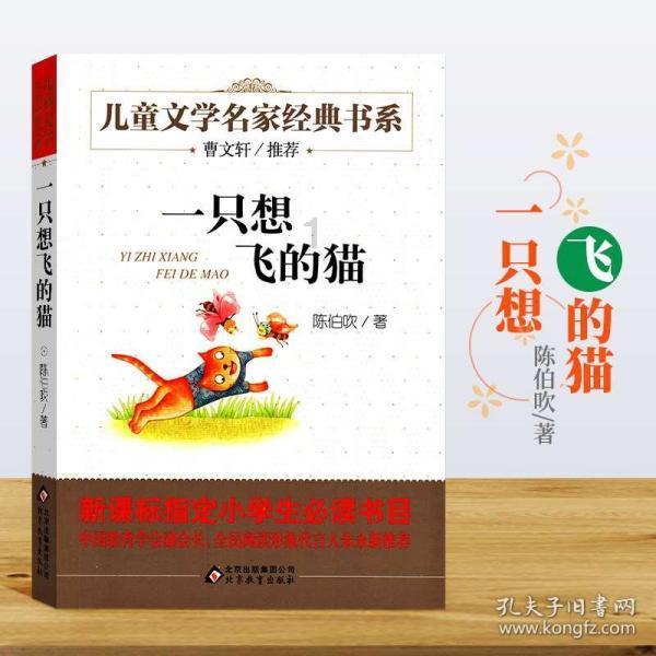 汤姆的灵魂