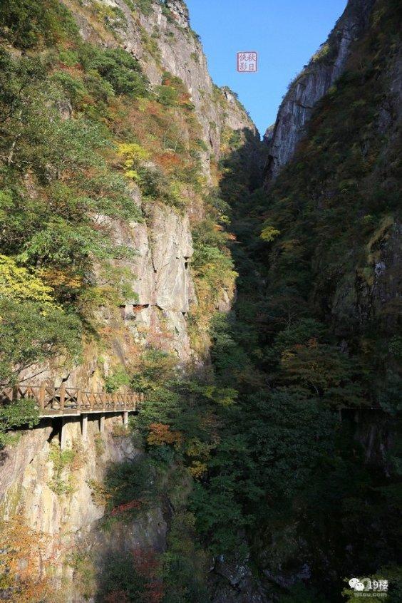 交友软件付费才能聊天：交友还是交钱？多款交友软件涉嫌欺诈